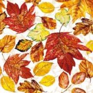 Ubrousky 3-vrstvé 20ks Podzimní listy