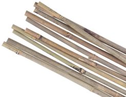 Podpěra rostlin bambus Garden KBT 1200/12-14 mm 10 ks