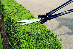 Nůžky na trávu a živý plot pákové PowerLever GS53 899 mm, 1380 g