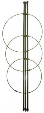 Podpěra rostlin 60 cm/3 kroužky 22,20,18 cm