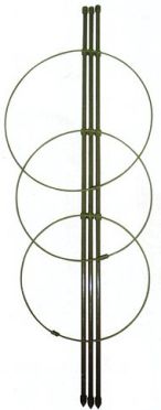 Podpěra rostlin 75 cm/3 kroužky 28,25,22 cm